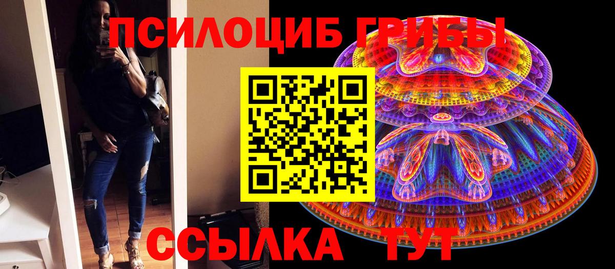 дарнет шоп  Вход с VPN  Гусиноозёрск  Псилоцибиновые грибы мухоморы 