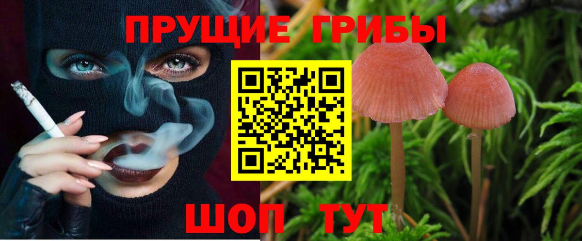 Псилоцибиновые грибы мухоморы Гусиноозёрск